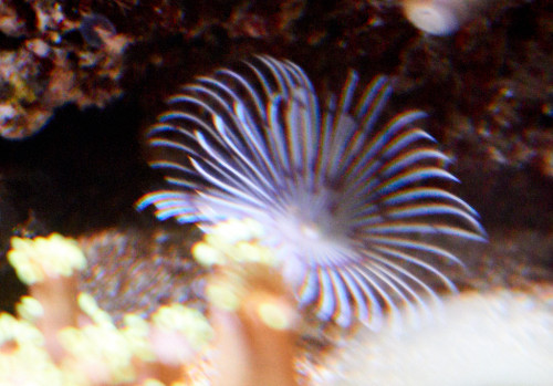 DSC01781.jpg