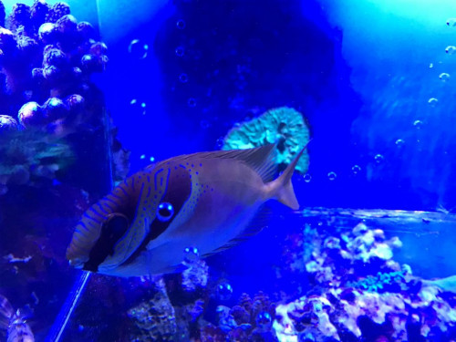 58458A3D-2FE8-4252-8352-AFE2AB651CC1.jpeg