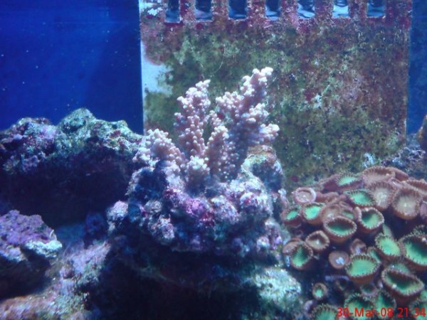 DSC00298 [640x480].JPG