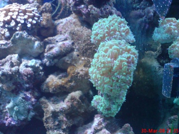 DSC00302 [640x480].JPG