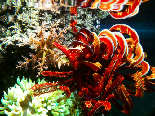 DSCF9877.jpg