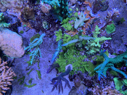 D6A6F086-7D57-412A-8999-30A3950025B1.jpeg
