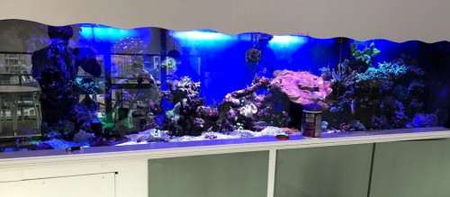 Full tank nu.jpg