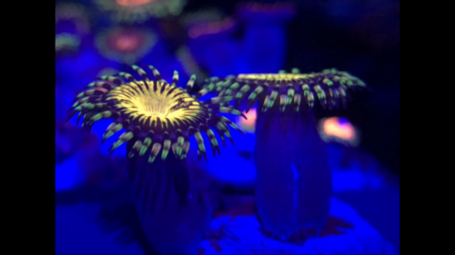7B607803-523E-4F52-835D-4CBF23C3E19D.png