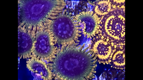 BD27814D-541E-4155-B788-DEC36D0B8226.png