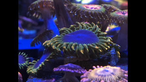 41C39C35-D16C-4408-9707-0262AB8C0C5E.png