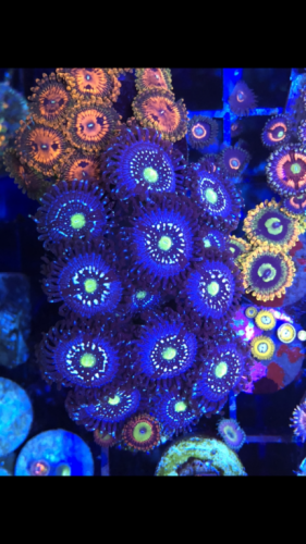 47B7ED38-A7A9-48B2-BFF7-D13F8E84A55D.png