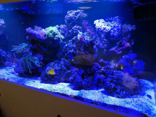 IMG_20200406_205141.jpg