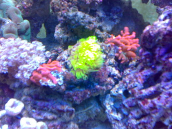 02042008060.jpg