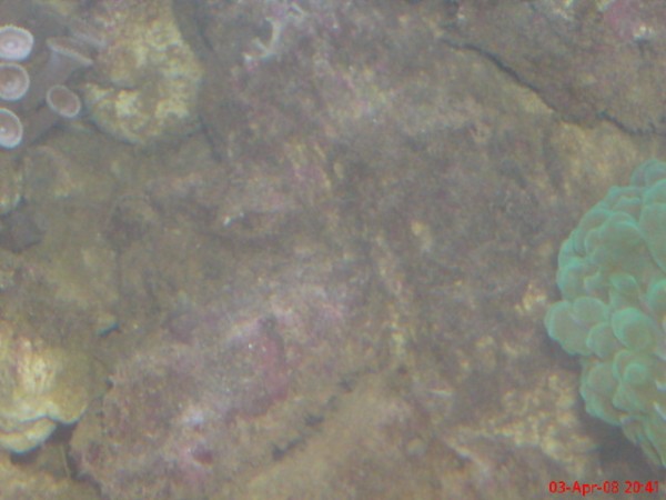 DSC00175.JPG
