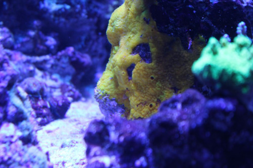 IMG_4726.JPG