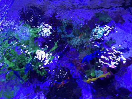 C211549C-ECEE-41CF-9E0F-469A6A0EB8C3.jpeg