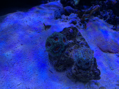 8755B97A-0011-45B2-B4B4-864C0917913A.jpeg