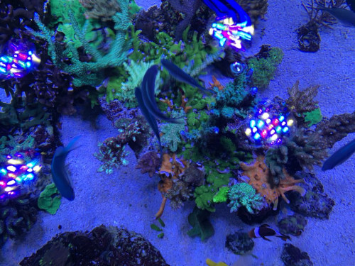 07E72905-EB09-4DD4-B42E-CAA6F22B3B80.jpeg