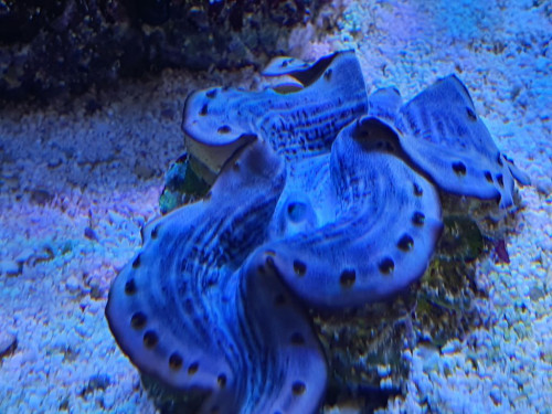 20200725_140335.jpg