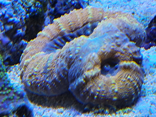20200725_140451.jpg