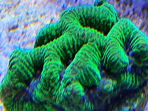 20200725_140523.jpg
