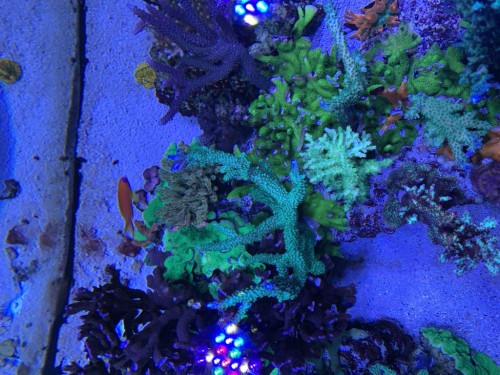 FD910062-B258-4463-B178-FFB48F70C2AC.jpeg