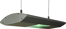 oceanlight150.jpg