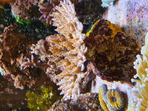 20200920_111530.jpg