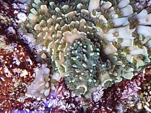 20200928_160534.jpg