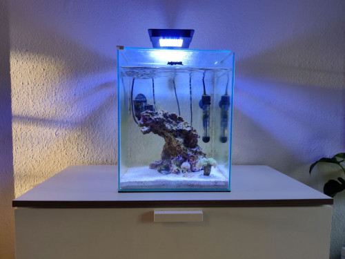 Akvariet fra front  med lampe
