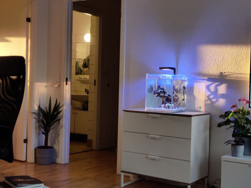 Udsigten fra sofaen