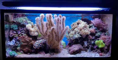 FTS