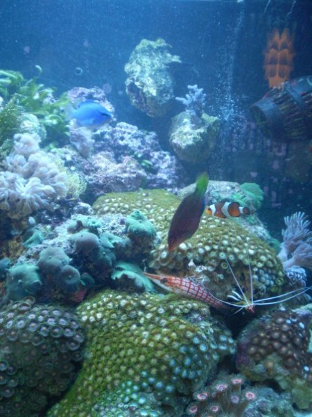 n724937725_400744_3012[1].jpg