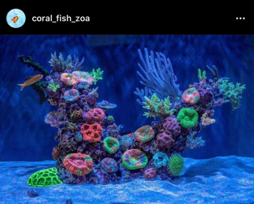 71DA87AB-C361-4CEE-80BF-89695512C114.jpeg