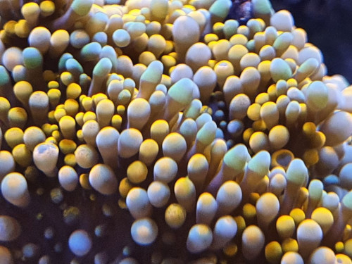 20201126_170937.jpg
