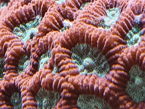20201126_181217.jpg