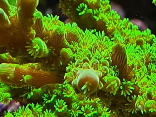 20201126_181334.jpg