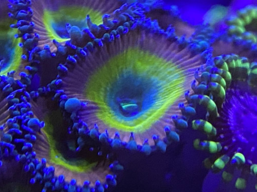 6C272454-4C93-46E3-A104-A309332C5CF0.jpeg