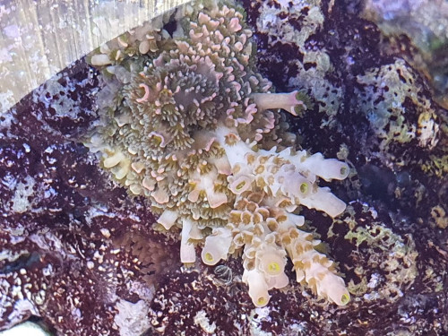 20201201_170055.jpg
