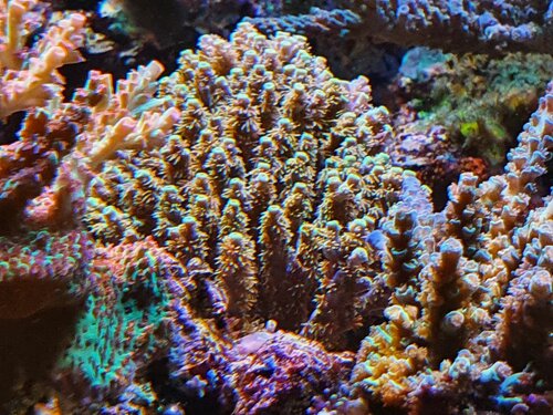 20201209_205752.jpg