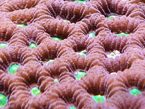 20201209_205221.jpg