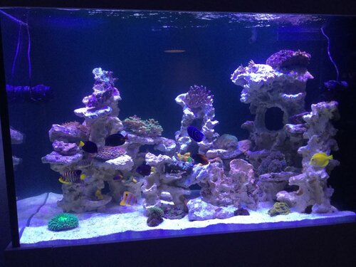 6ED216F2-E941-4C61-BA18-310D886F9912.jpeg (126.41 KiB) Vist 12479 gange Sådan en telefon vil jeg ha!