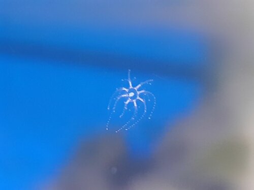 20201224_162954.jpg