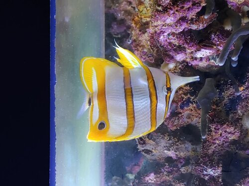 20201230_144424.jpg