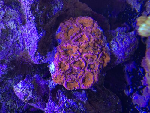 IMG_3669.jpeg
