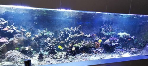 FTS.jpg