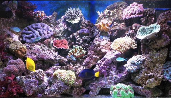250 liters.jpg