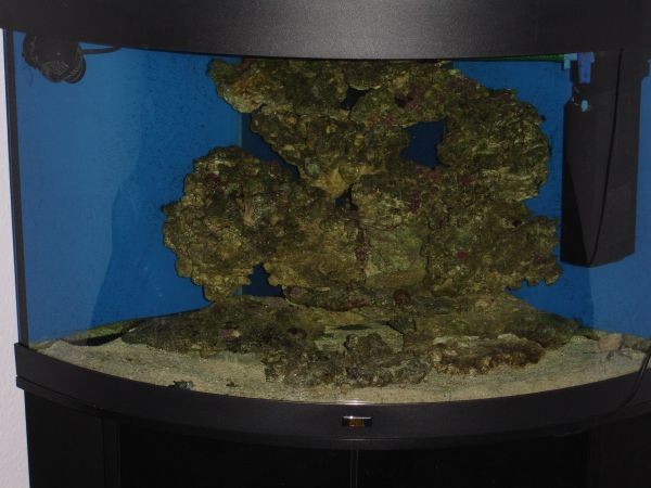 Akvariet