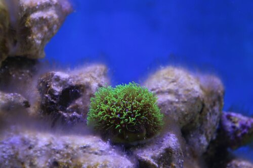 IMG_3277.JPG