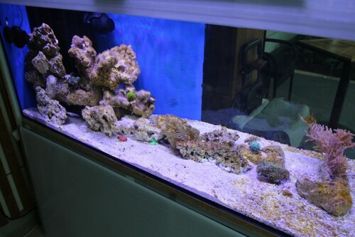 IMG_3280.JPG