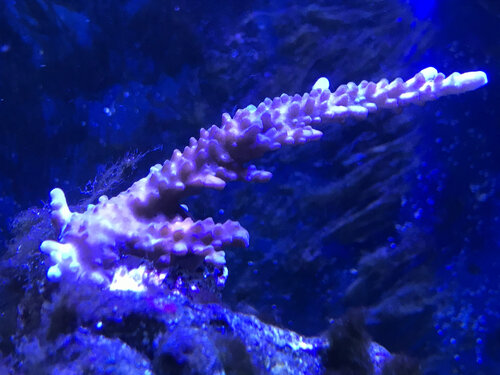 IMG_8402.jpeg