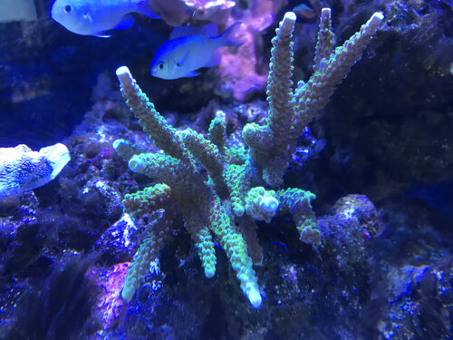 IMG_8392.jpeg