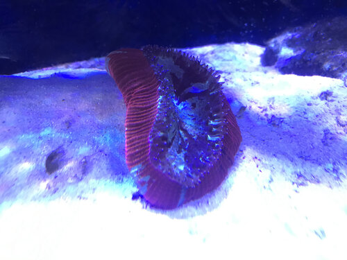 IMG_8409.jpeg