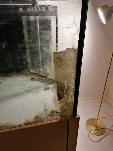 Godt tykt lag alger og kalk ska lige rense af før man kan se ind!